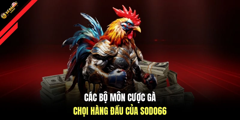 Các bộ môn cược gà chọi hàng đầu của SODO66