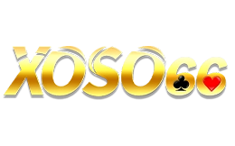 sodo666