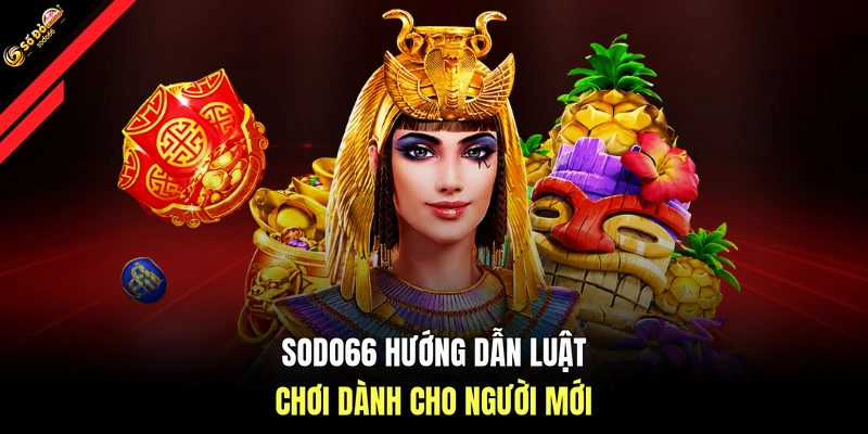 SODO66 hướng dẫn luật chơi dành cho người mới